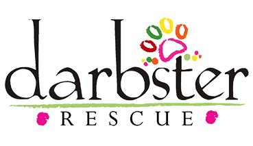 darbster rescue|darbster doggy nh.